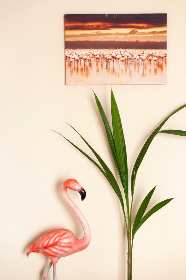 Flamingo Apartment Малага Екстер'єр фото