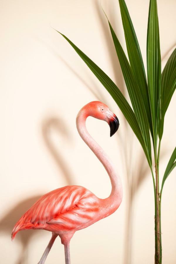 Flamingo Apartment Малага Екстер'єр фото